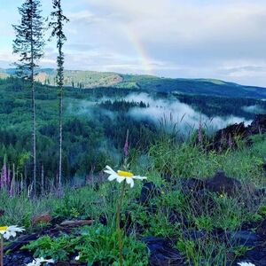 Meet your Posher, Diane